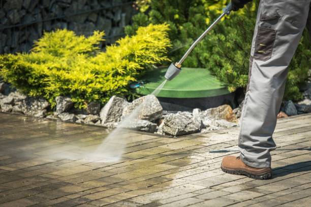 Best Warehouse Cleaning  in Parksdale, CA
