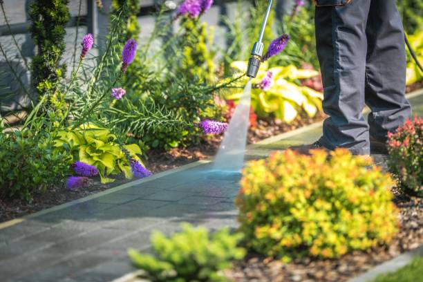 Parksdale, CA Pressure Washing Services Company