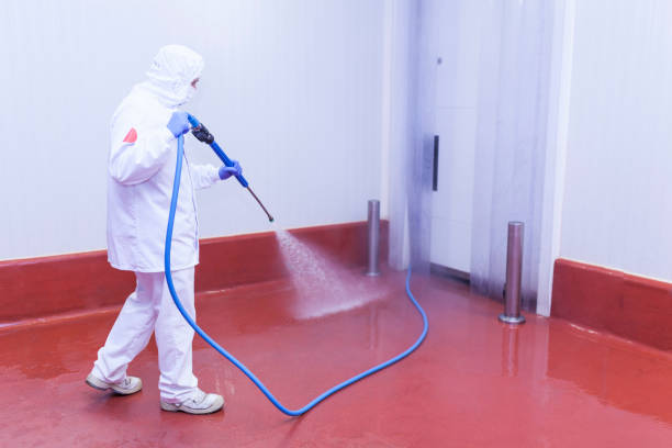 Boat and Dock Cleaning in Parksdale, CA
